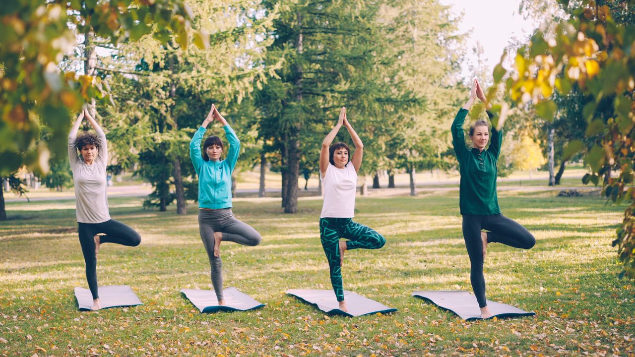 Four women performing yoga in a tranquil park during a sunny fall day.