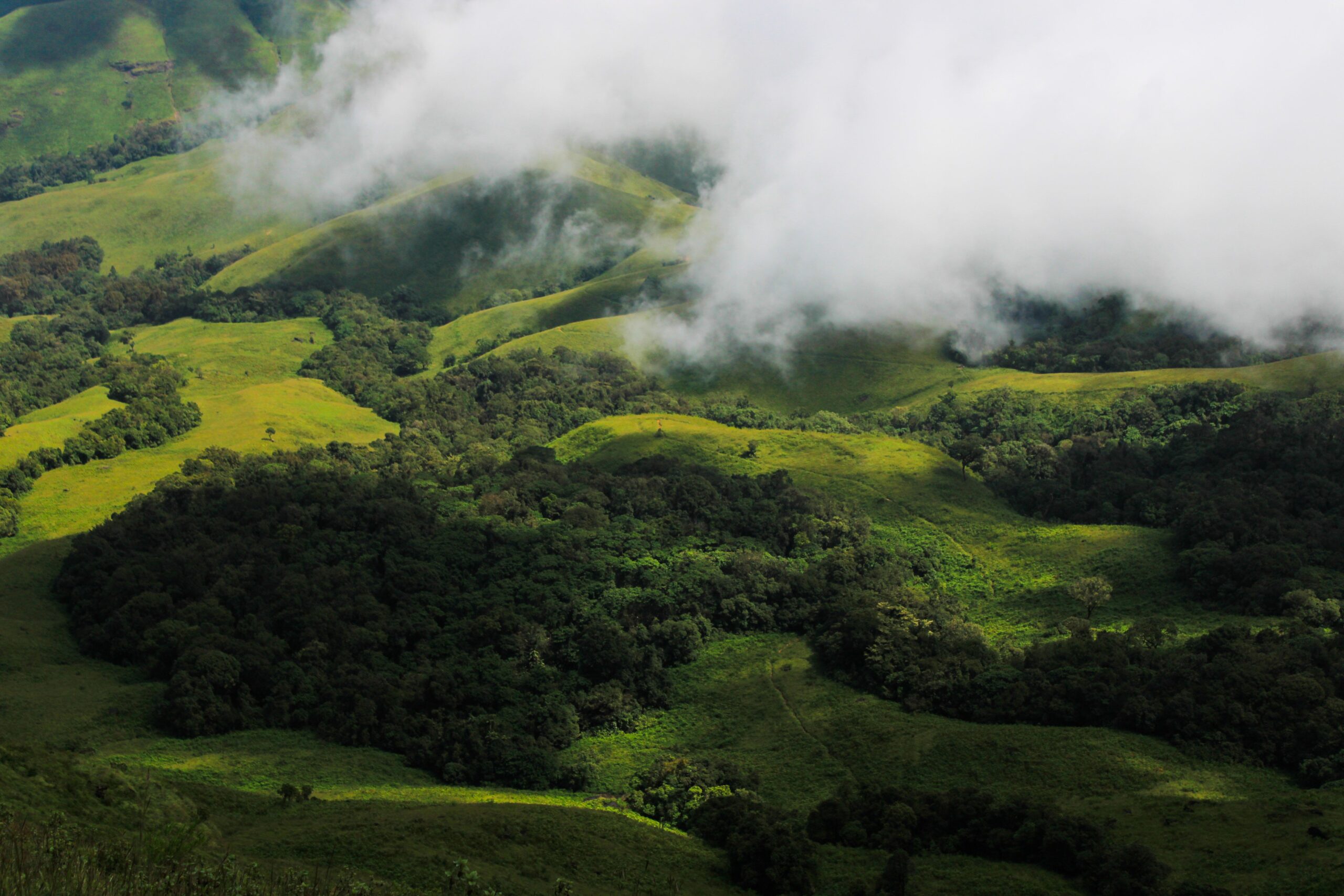 A scenic view of green hills covered with fog, creating a peaceful countryside setting.